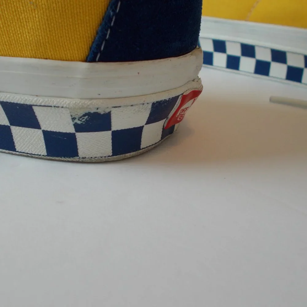 Vans skate shoes